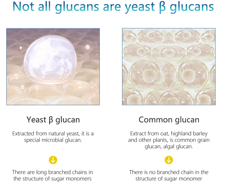 High 100% 80% 70% Plant Extract Yeast Beta Glucan Powder