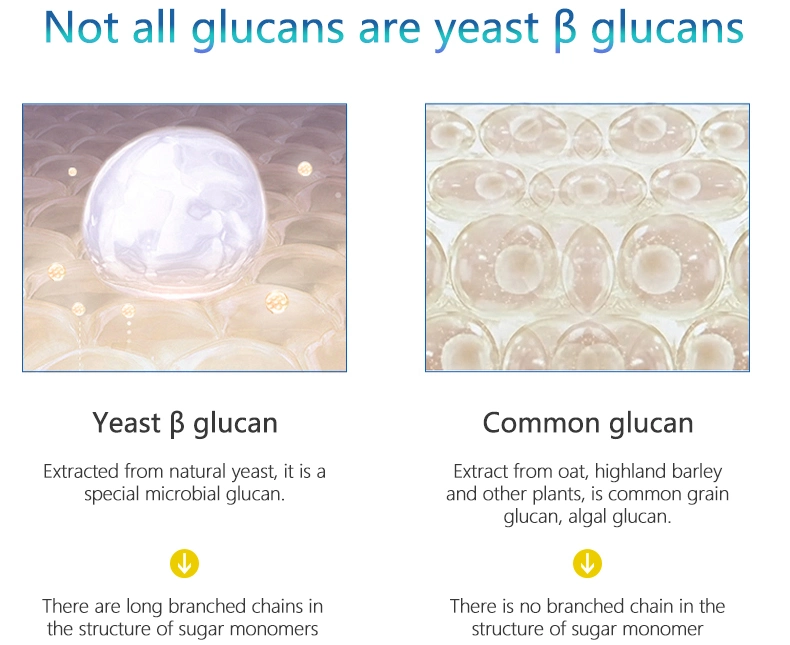 Organic Yeast Extract Beta Glucan 70% 80% 90%
