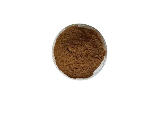 Premium Freeze Dried Sparassis Crispa Powder with Beta