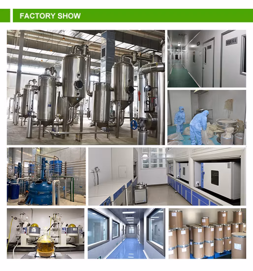 Pure Shiitake Mushroom Extract Lentinan Shiitake Beta D Glucan