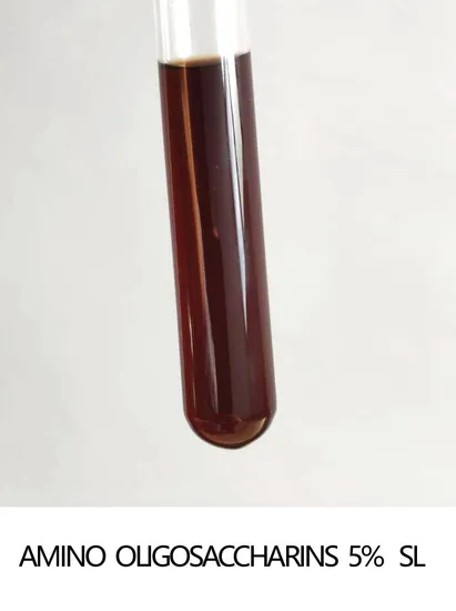 Chitosan Water Soluble Oligosaccharide Chitosan Powder Water Soluble Powder Chitosan Water Soluble Oligosaccharide for Chitosan Non Allergenic Food Grade 