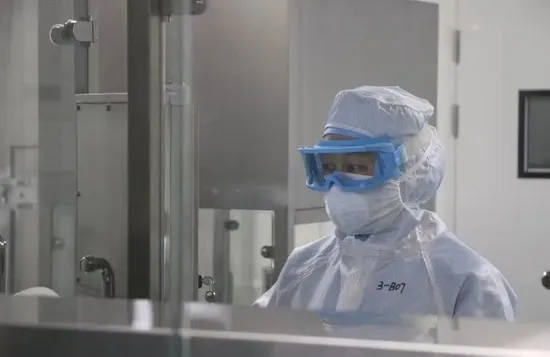 Animal Premix Feed for Pig to Increase Feed Intake Feed Additive From Hebei Veyong 